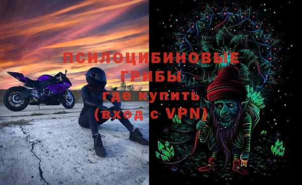 не бодяженный Алексин